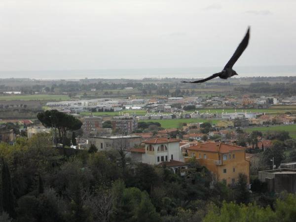 Al Castello Bed & Breakfast Tarquinia Exterior foto